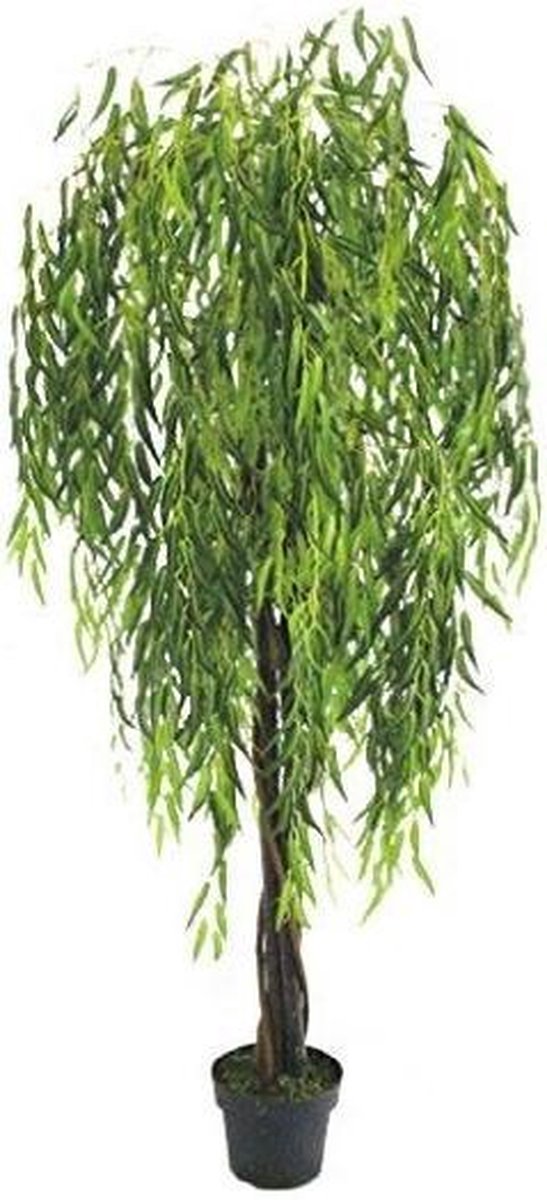 Willow tree wilgenplant 180 cm met echt hout