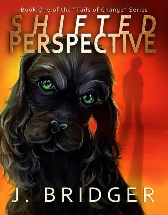 Shifted Perspective - cover