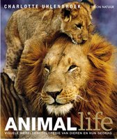 Animal Life