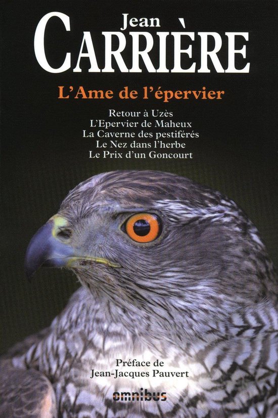 L'âme de l'épervier - cover