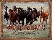 Wandbord - paarden welcome friends -30x40cm-