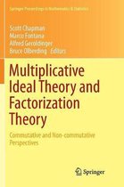 Multiplicative Ideal Theory and Factorization Theory