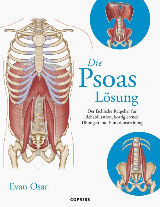 Die Psoas-Lösung - cover