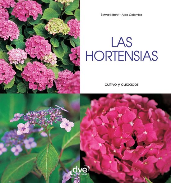 Las hortensias - Cultivo y cuidados - cover