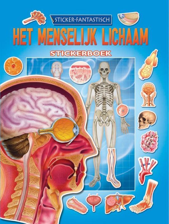 Cover van het boek 'Menselijk lichaam stickerboek'