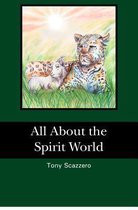 All about the Spirit World