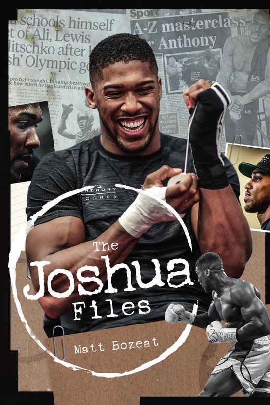 The Joshua Files - cover