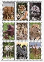 Dieren 3D sticker set