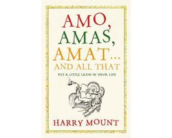 Amo, Amas, Amat... and All That