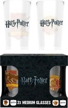 GB Eye Harry Potter Quiditch Medium Glazen Set van 2