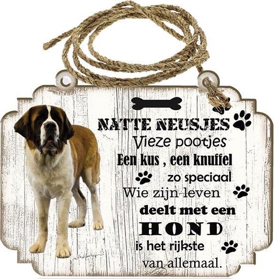 Spreukenbordje hond: Sint Bernard (langhaar)