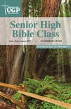Christian Life Series - Senior High Bible Class
