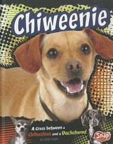 Chiweenie