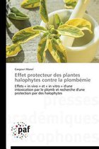 Effet Protecteur Des Plantes Halophytes Contre La Plomb�mie