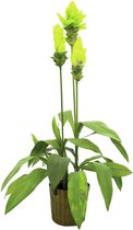 Europalms kunstplant - Gemberlelie - 95cm - met bloem in pot