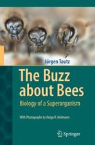 Buzz About Bees Biology Of Superorganism