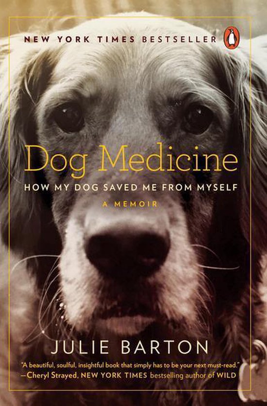 Dog Medicine - cover