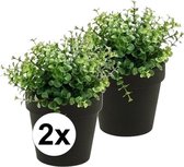 2x Kunstplant eucalyptus groen in pot 20 cm - Kamerplant groene eucalyptus