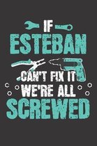 If ESTEBAN Can't Fix It