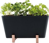 Waterwick PlantBox - Zwart - 19 x 13,5 x 15 cm (lxbxh) - (zonder zaadjes)