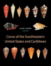 "Conus" of the Southeastern United States and Caribbean