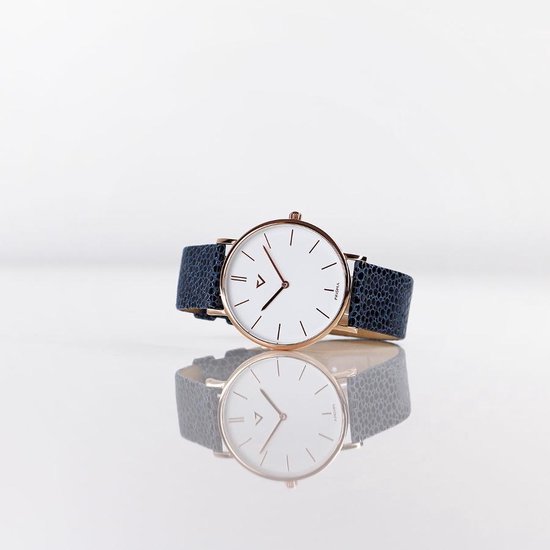 Prisma 100% NL Special Edition horloge P1629.636