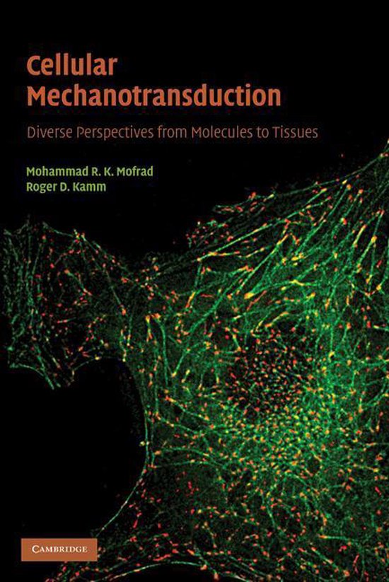 Cellular Mechanotransduction - cover