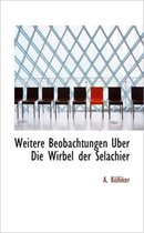 Weitere Beobachtungen Uber Die Wirbel Der Selachier