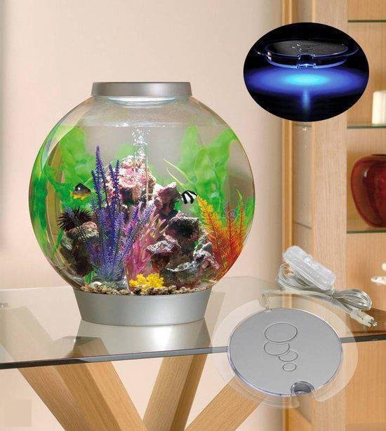 Populair Geologie voetstuk biOrb Intelligent LED - Aquarium - 30 liter - Zilver | bol.com