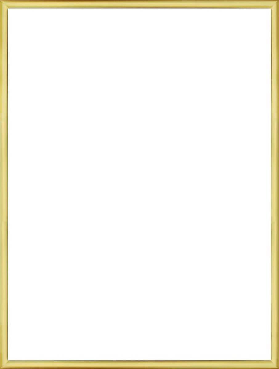 Homedecoration Almelo – Fotolijst – Fotomaat – 32 x 78 cm – Goud Glans