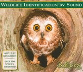 Solitudes: Wildlife Identification by Song