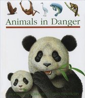 Animals in Danger