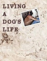 Living A Dog's Life