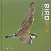 Birdpix / IV