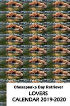 Chesapeake Bay Retriever Lovers Calendar 2019-2020