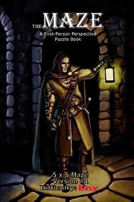 The Maze: A First-Person Perspective Puzzle Book-The Maze - cover