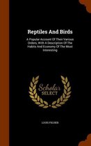 Reptiles and Birds