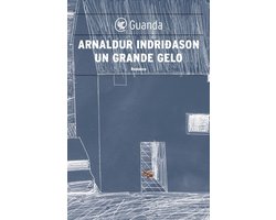 Omslag van Inspecteur Erlendur Sveinsson 5 - Grote Vorst
