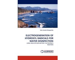 Electrogeneration of Hydroxyl Radicals for Water Disinfection