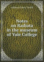 Notes on Radiata in the museum of Yale College