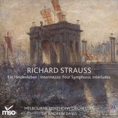 Strauss/Orch Works