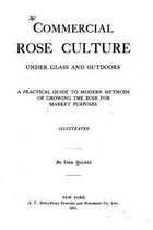 Commercial Rose Culture, Under Glass and Outdoors