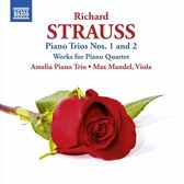 Max Mandel & Amelia Piano Trio - Strauss: Piano Trios Nos. 1 And 2/Works For Piano Quartet (CD)
