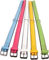 Karlie colourful halsband blauw / zwart