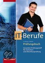 Prüfungsbuch IT-Berufe. Schülerbuch