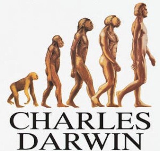 The Origin of Species - cover