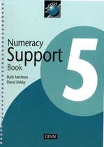 1999 Abacus Year 5 / P6: Numeracy Support Book