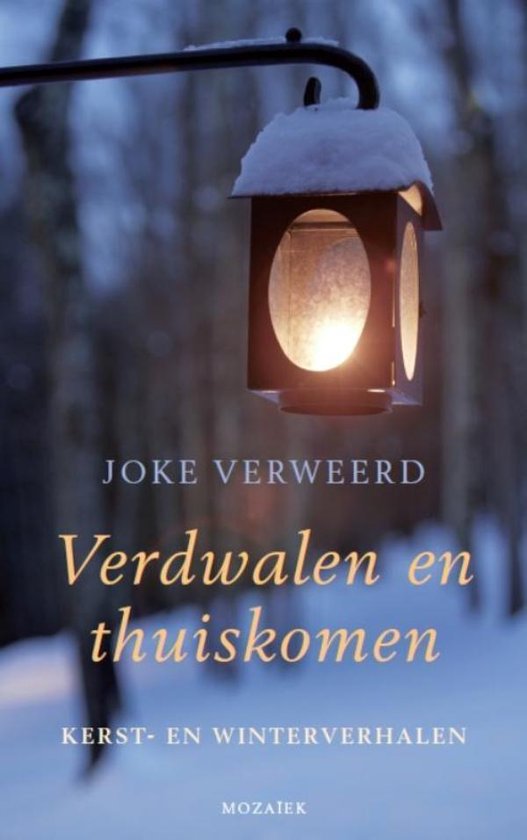 Verdwalen en thuiskomen - cover