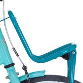 Alpina Alp v drager 20 Clubb turquoise