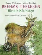 Brehms Tierleben für die Kleinsten - Tiere in Wald und Wiese